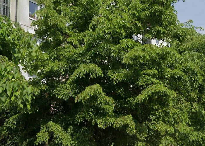 Comfy Flat In City-Free Parking