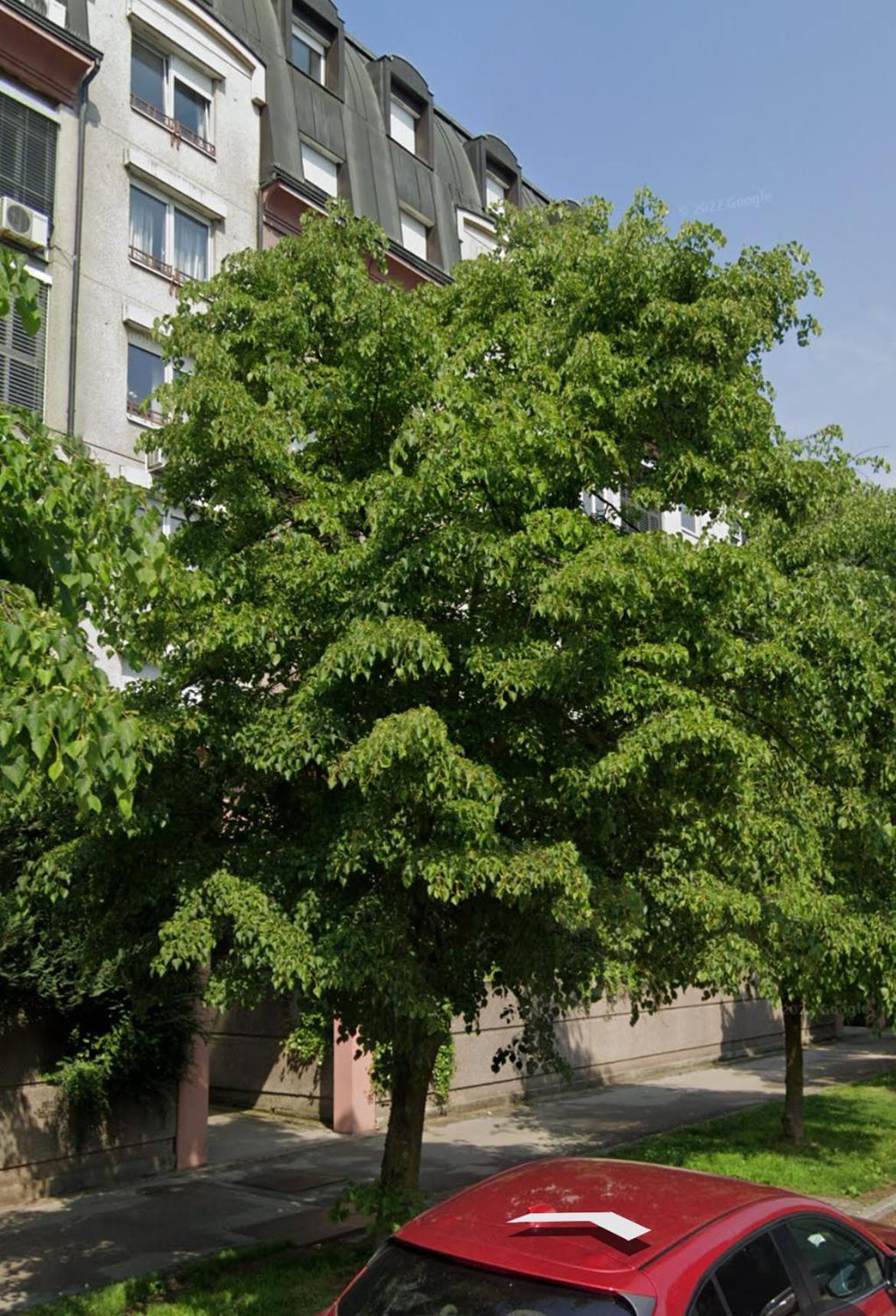 Comfy Flat In City-free Parking Appartement *